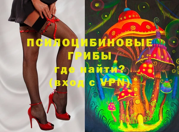 mdpv Каменногорск