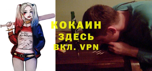 Альфа ПВП Каменка